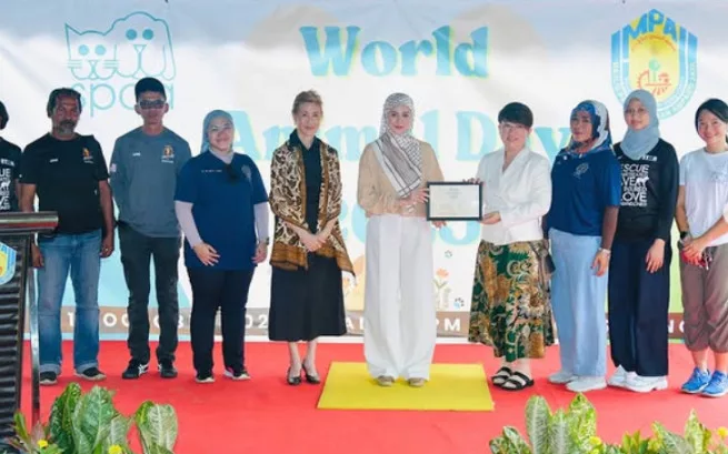 DYMM Tengku Permaisuri Selangor, Tengku Permaisuri Hajah Norashikin Pencinta Kucing, Haiwan Jalanan