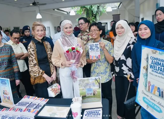 DYMM Tengku Permaisuri Selangor, Tengku Permaisuri Hajah Norashikin Pencinta Kucing, Haiwan Jalanan