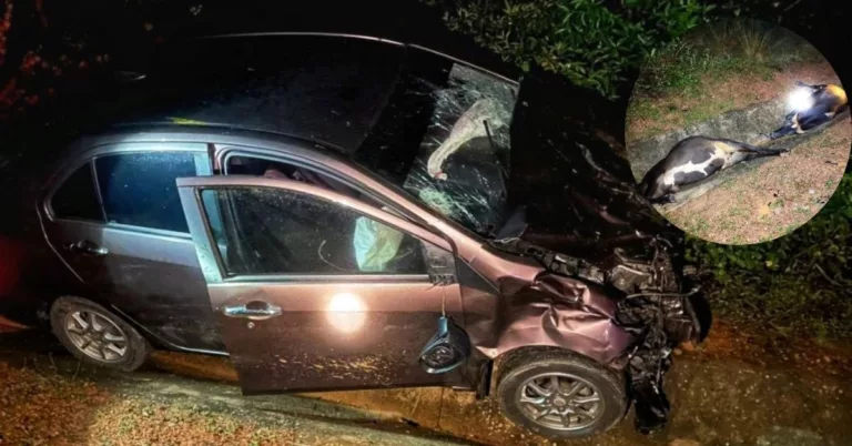 Perjalanan Beli Susu Bertukar Tragedi, Bayi 11 Bulan Terkorban Dalam Insiden Rempuhan Lembu Di Bera