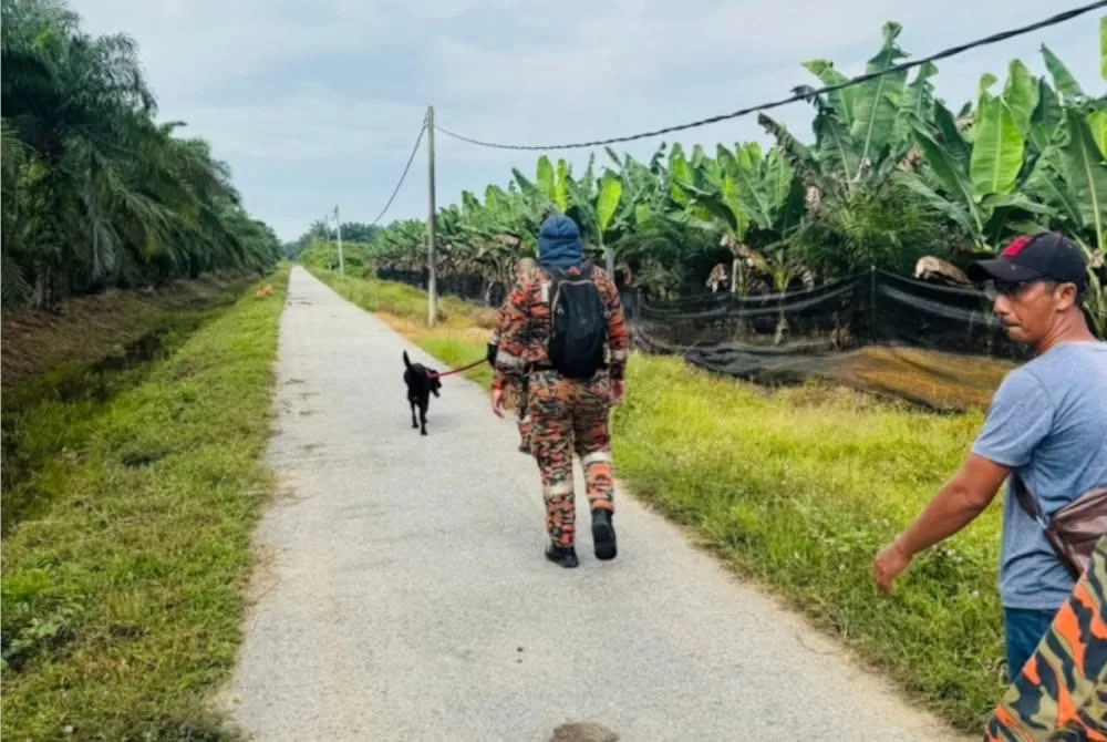 Warga Emas Hilang Tiga Hari Ditemui Sudah Tidak Bernyawa Dalam Parit Kebun 9 Warga Emas Hilang Tiga Hari Ditemui Sudah Tidak Bernyawa Dalam Parit Kebun