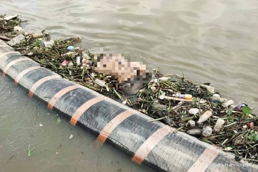 Lelaki Hilang Dihanyutkan Kepala Air Di Sungai Klang Ditemui Di Sungai Kandis 5 Lelaki Hilang Dihanyutkan Kepala Air Di Sungai Klang Ditemui Di Sungai Kandis