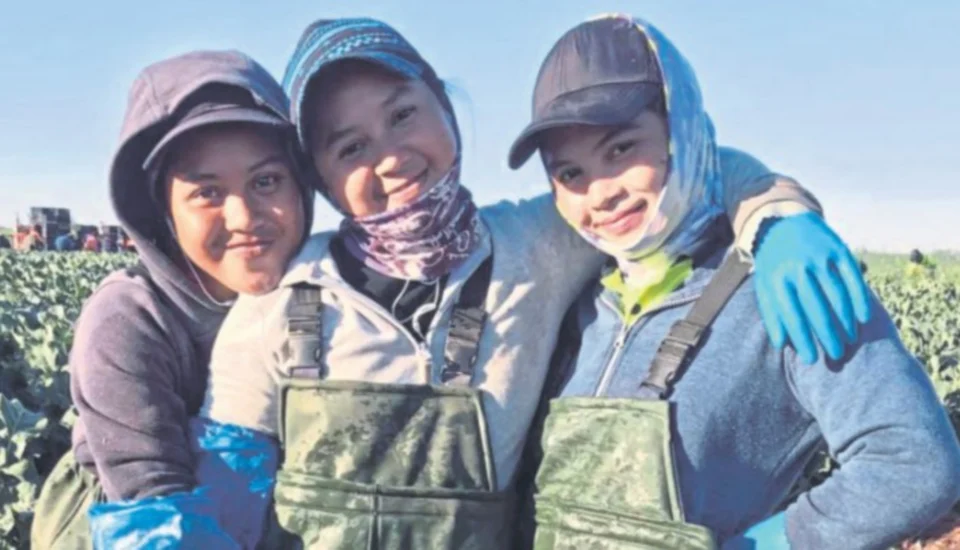 Inspirasi Bekerja Di Australia: Kisah Tiga Beradik Dari Kelantan Raih Pendapatan Lumayan