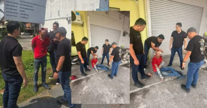 Untitled design - 2025-11-05T121140.360