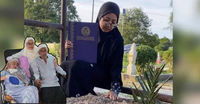 Untitled design - 2025-11-06T154157.551