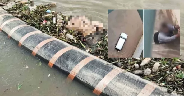 Untitled design - 2025-11-21T152052.614