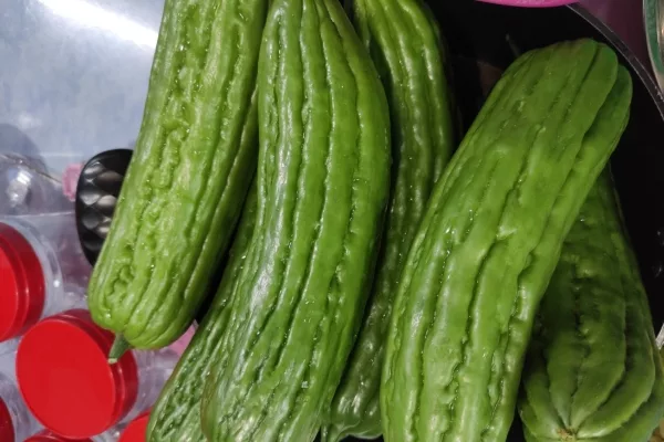 Kerepek Peria Tak Pahit & Rangup, Wanita Ini Kongsi Resipi Laku Keras