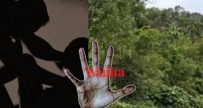 Untitled design (49) Dicabul Dalam Semak