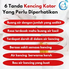 Kurang Minum Air Bulan Puasa Kena Kencing Kotor, Ini Cara Cukupkan 8 Gelas Sehari 5 Kurang Minum Air Bulan Puasa Kena Kencing Kotor, Ini Cara Cukupkan 8 Gelas Sehari