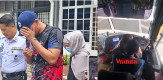 pemandu