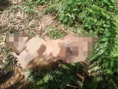 Serangan Gajah Liar: “Tak Sempat Jamah Pau & Tapai Pulut” Isteri Sebak Suami Pergi Selamanya