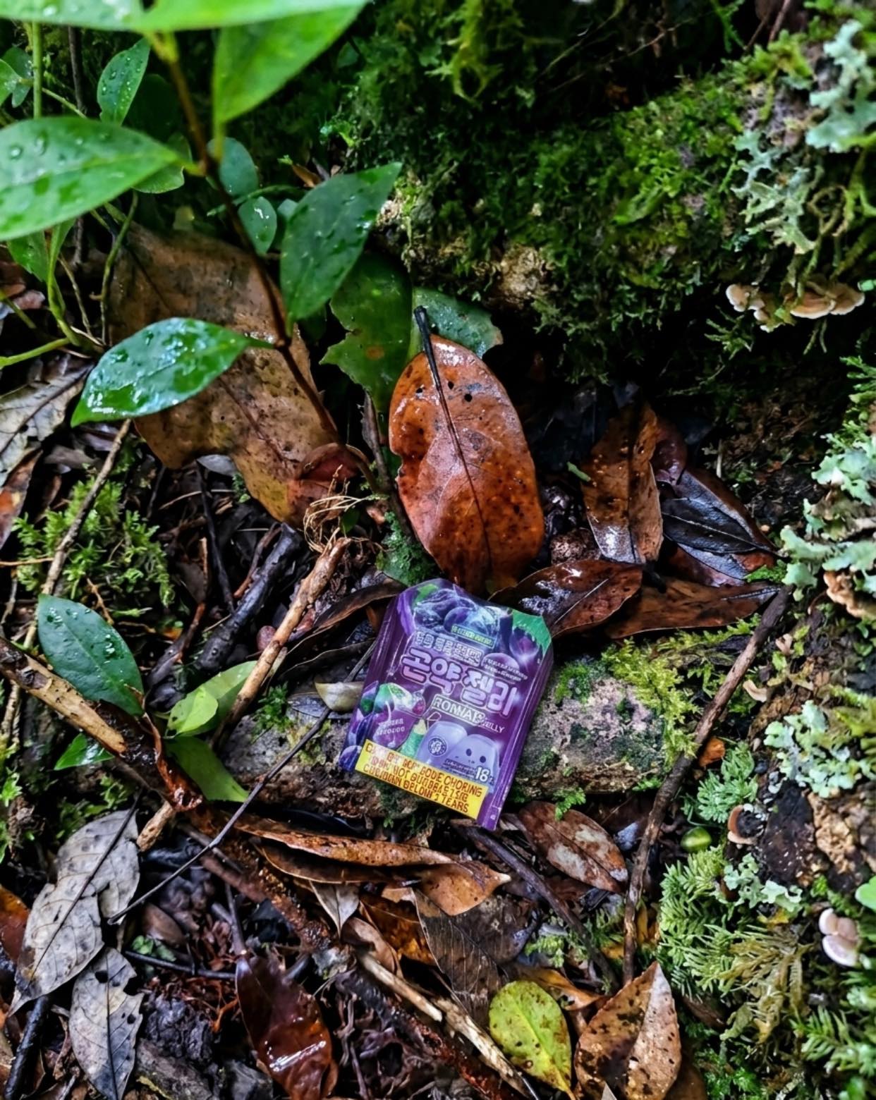 4 Hari Hilang di Gunung Batu Putih: "Ya Allah, Lindungilah Jaslinda Saludin Di Mana Sahaja Dia Berada..." 10 4 Hari Hilang di Gunung Batu Putih: “Ya Allah, Lindungilah Jaslinda Saludin Di Mana Sahaja Dia Berada…”
