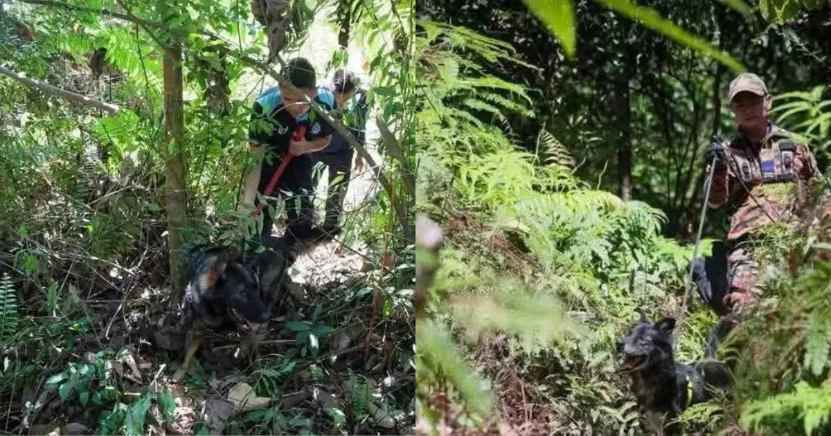 Nur Izzati Masih Hilang Hari Ke-4, “Keluarga Belum Sedia Kongsi Apa Ditemui Sepanjang Pencarian – Kakak Mangsa