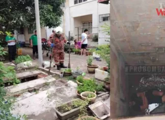 Selamatkan Kucing