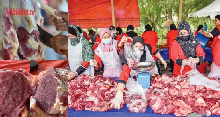 Cara Bahagikan Daging Korban