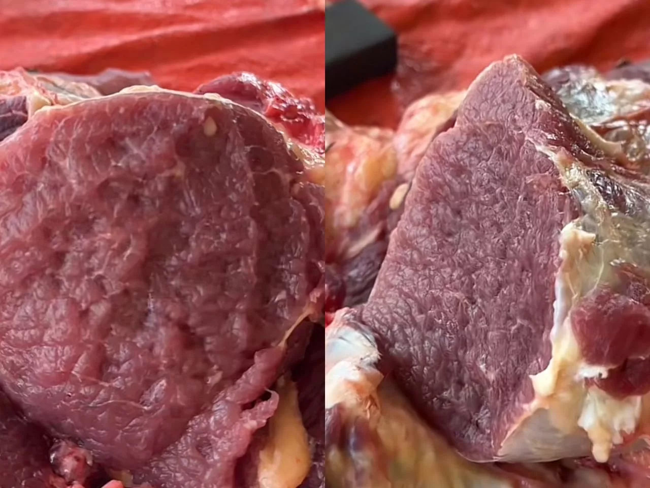 Cara Bahagikan Daging Korban, Wajib Ke Bagi Pada Fakir Mikskin? Ini Jawapannya 6 Cara Bahagikan Daging Korban, Wajib Ke Bagi Pada Fakir Mikskin? Ini Jawapannya
