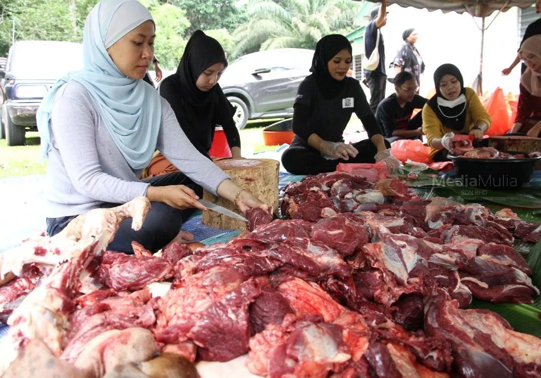 Cara Bahagikan Daging Korban, Wajib Ke Bagi Pada Fakir Mikskin? Ini Jawapannya 7 Cara Bahagikan Daging Korban, Wajib Ke Bagi Pada Fakir Mikskin? Ini Jawapannya