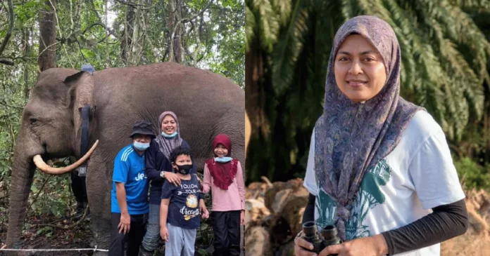 gajah pygmy Sabah
