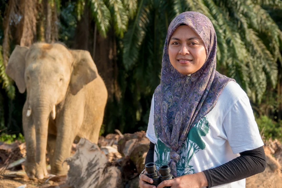 Wanita Ini Dedah Misi Selamatkan Gajah Pygmy Sabah, Dr Nurzhafarina Othman Rangkul Anugerah Konservasi 2025