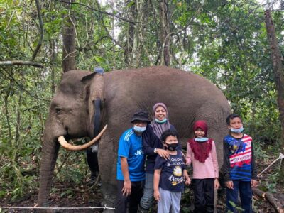 Wanita Ini Dedah Misi Selamatkan Gajah Pygmy Sabah, Dr Nurzhafarina Othman Rangkul Anugerah Konservasi 2025