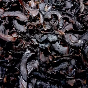 Asam Keping Hitam Atau Perang? Ini Perbezaan & Cara Pilih Yang Lebih Sedap Untuk Masakan 4 Asam Keping Hitam Atau Perang? Ini Perbezaan & Cara Pilih Yang Lebih Sedap Untuk Masakan