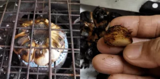 bawang putih bakar
