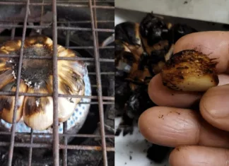 bawang putih bakar