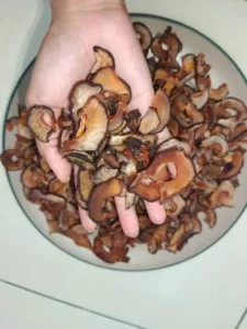 Asam Keping Hitam Atau Perang? Ini Perbezaan & Cara Pilih Yang Lebih Sedap Untuk Masakan 5 Asam Keping Hitam Atau Perang? Ini Perbezaan & Cara Pilih Yang Lebih Sedap Untuk Masakan