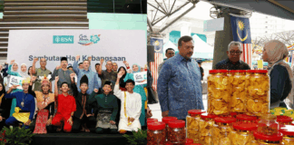 usahawan mikro