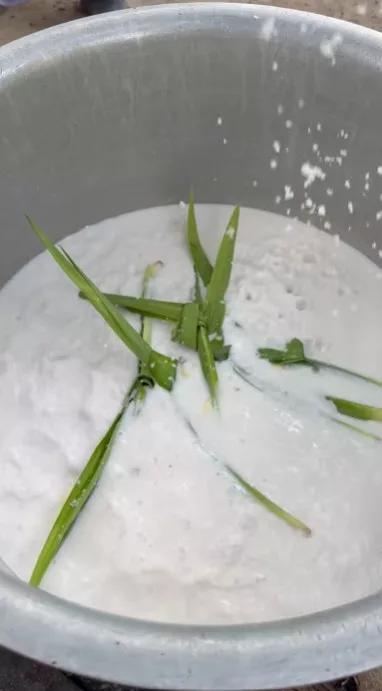 Resipi Nasi Lemak Terbang Sampai India, Nampak Sedap Betul!