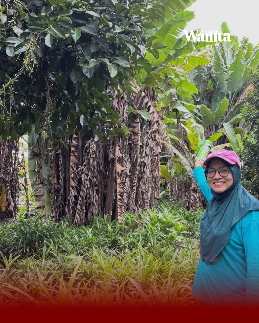 Hampir Muflis Dan Diberhentikan Kerja Dalam Usia 38 Tahun, Puan Nany Bangkit Jadi Pekebun Berjaya 2 Hampir Muflis Dan Diberhentikan Kerja Dalam Usia 38 Tahun, Puan Nany Bangkit Jadi Pekebun Berjaya