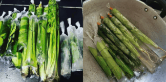 cara simpan daun herba