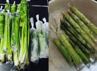 cara simpan daun herba