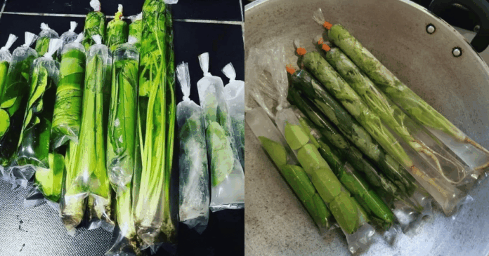cara simpan daun herba