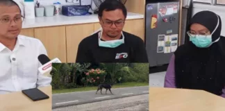 MWtvshow