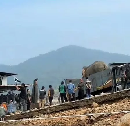 Sulong Sampai Tasik Kenyir, Jalani Proses Pemindahan Sebelum Ditempatkan Di Habitat Yang Sesuai 2 Sulong Sampai Tasik Kenyir, Jalani Proses Pemindahan Sebelum Ditempatkan Di Habitat Yang Sesuai