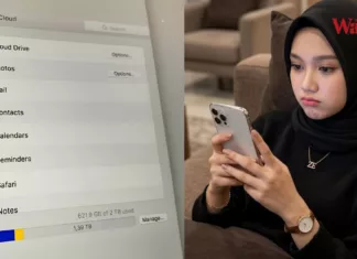 Pengguna iPhone