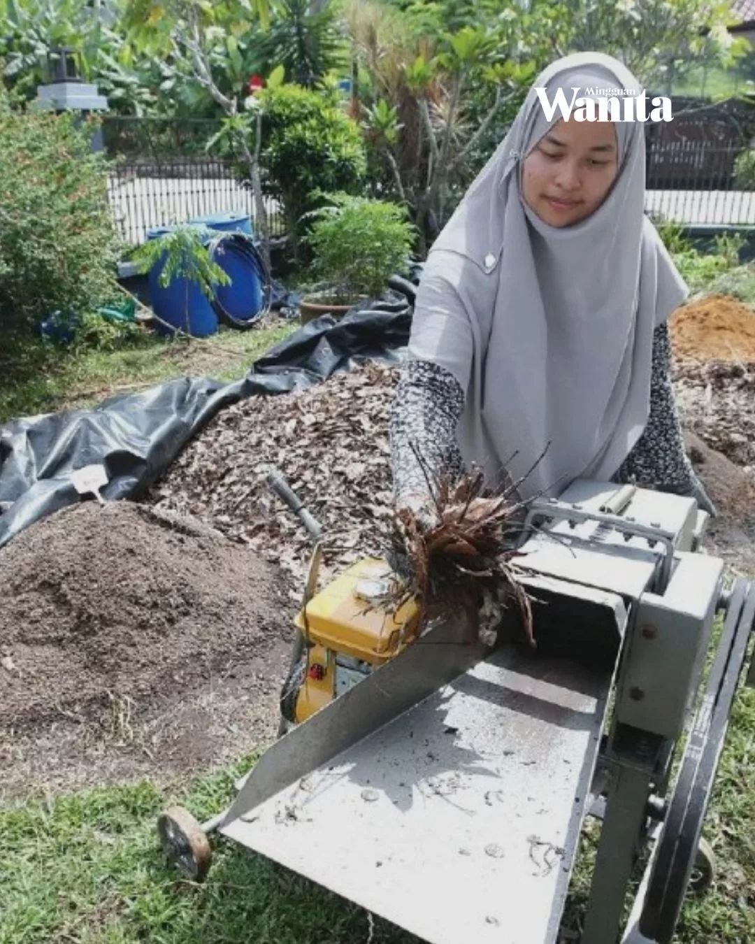 Tanam Padi Organik Dalam Kawasan Rumah, Wanita Ini Berjaya Tuai Padi Tanpa Bendang 2 Tanam Padi Organik Dalam Kawasan Rumah, Wanita Ini Berjaya Tuai Padi Tanpa Bendang